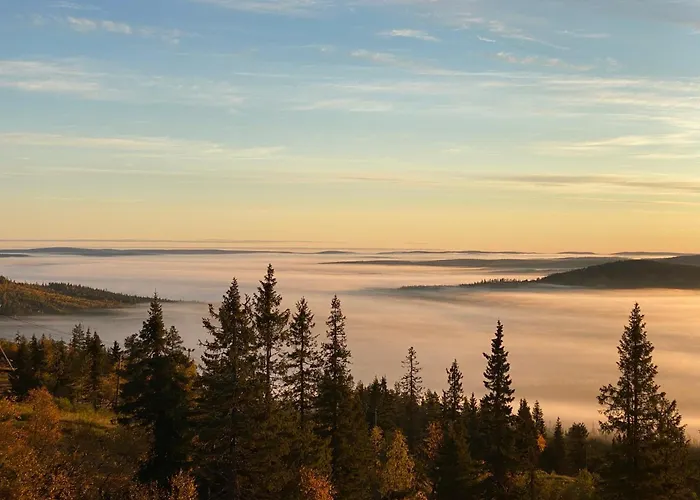 Apartment In Out Panorama Syote